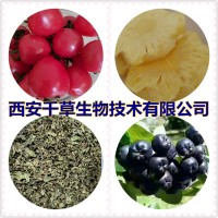 炒谷芽提取物炒谷芽濃縮粉炒谷芽浸膏粉粟芽粉