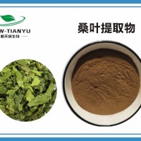 桑葉提取物 桑葉DNJ1% 1-脫氧野尻霉素1-5%