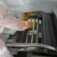 千頁豆腐油炸機 豆腐串油炸機生產(chǎn)廠家 自動刮渣油炸線