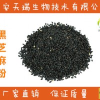 黑芝麻提取物  黑芝麻粉   實力廠家
