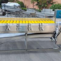 單層毛刷去雜機 全自動蘑菇清洗去毛發設備 除雜機
