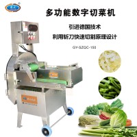 多功能數字變頻切菜機 根莖葉菜類切割設備 廚房加工設備