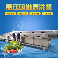 高壓噴淋清洗設備 新型高壓仔姜清洗流水線 洗姜塊機