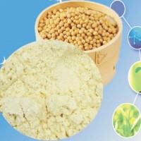大豆卵磷脂 大豆卵磷脂廠(chǎng)家價(jià)格 粉末磷脂報(bào)價(jià)
