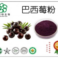 巴西莓粉 水果粉廠家