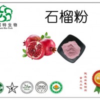 石榴粉 水果粉廠家