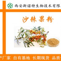 沙棘果粉 沙棘提取物 沙棘濃縮粉 沙棘基地 生產廠家