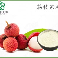 荔枝果粉 噴霧干燥 全水溶荔枝粉