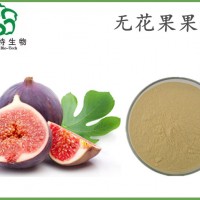 無花果果粉 噴霧干燥 全水溶無花果粉