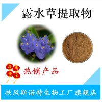 露水草提取物20%~98% 脫皮甾酮
