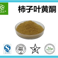 柿子葉黃酮 10%~40% 柿子葉提取物 現(xiàn)貨包郵