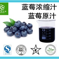 藍莓濃縮汁 藍莓原汁 藍莓原液 規格齊全 優惠價