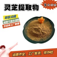 靈芝提取物  靈芝多糖