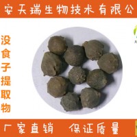 沒食子提取物  沒食子粉-價格