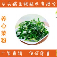 養心菜粉   救心菜粉   養心菜提取物