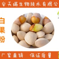 白果粉-廠家     白果提取物