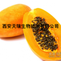 木瓜提取物   水溶木瓜果蔬粉