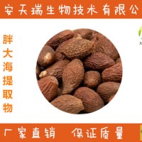 胖大海粉-廠家 胖大海提取物