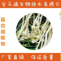 薤白提取物10：1 小蒜提取物