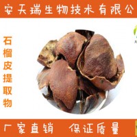 石榴皮提取物-廠家   石榴皮粉