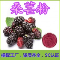 桑葚粉帶第三方檢測報告