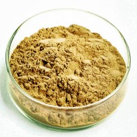 冬蟲夏草提取物