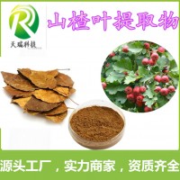 山楂葉提取物