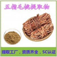 五指毛桃提取物  五爪龍提取物
