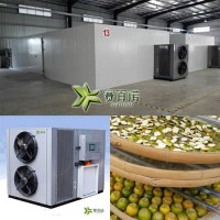 新會(huì)小青柑_柑普茶烘干機(jī) 高效柑普茶熱泵烘干房