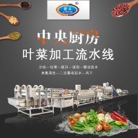 葉菜加工流水線 蔬菜清洗切割生產線 多元化凈菜加工設備