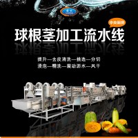 球根莖瓜果處理流水線 土豆蘿卜清洗生產線 中央廚房凈菜設備