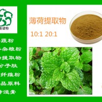 薄荷葉提取物 薄荷油 薄荷粉 藥食同源 常年供應