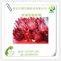 玫瑰茄提取物的價格