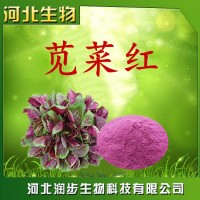 供應(yīng) 食品級(jí) 天然莧菜紅色素  著色劑