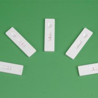 基孔肯雅熱快速檢測卡