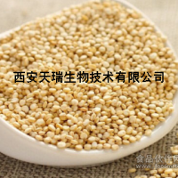 藜麥粉  藜麥代餐粉