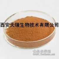 洋蔥粉 洋蔥提取物