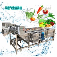 胡蘿卜氣泡翻浪清洗機(jī) 渦流果蔬清洗機(jī) 葉類(lèi)蔬菜清洗設(shè)備