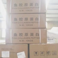 魚膠原蛋白價格食品級魚膠原蛋白價格