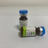 1,3-Disinapoyl sucrose 對(duì)照品供應(yīng)