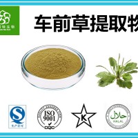 車前草提取物 20:1 車前草粉 源頭廠家 質優價廉