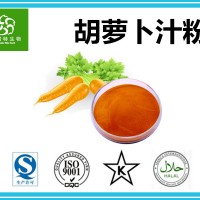 食品級胡蘿卜粉 胡蘿卜汁粉 原料好用途廣