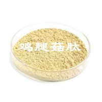雞腿菇多肽 雞腿菇提取物 大量現貨價格優惠