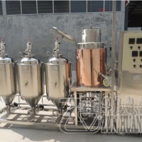 ZH-50L家釀啤酒設備