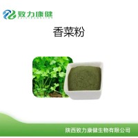 廠家供應(yīng)脫水香菜粉調(diào)味香菜粉香菜粉脫水香菜