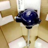 WIKA 法蘭式熱電阻溫度計 TR10