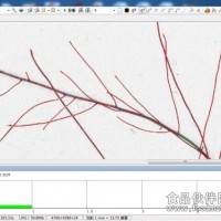 LA-S植物根系分析儀系統(tǒng)（獨(dú)立版）