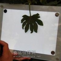 萬(wàn)深LA-S全能型植物圖像分析儀