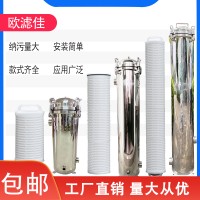 大濾芯大流量保安精密過濾器污水泥沙水河水過濾