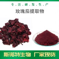 玫瑰茄提取物 全水溶玫瑰茄粉